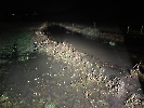 hochwasser alberswil_1