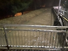 hochwasser alberswil_2