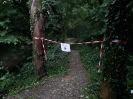 Sturmschäden Ettiswil_2