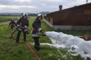 Frühlingshauptübung 04.06.2012_21