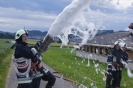 Frühlingshauptübung 04.06.2012_29
