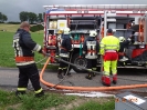 Frühlinghauptübung 08.06.2015_13