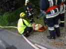 Frühlinghauptübung 08.06.2015_1
