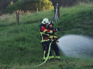 Frühlingshauptübung 15.06.2018_10