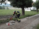 Frühlingshauptübung 18.06.2021_20