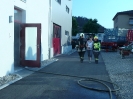 Frühlingshauptübung 24.06.2016_14