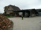 Organisationsinspektion _16